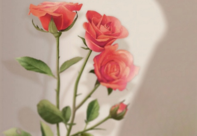 祝天下女神們節(jié)日快樂?。?！